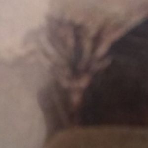 Meet your Posher, Bruce